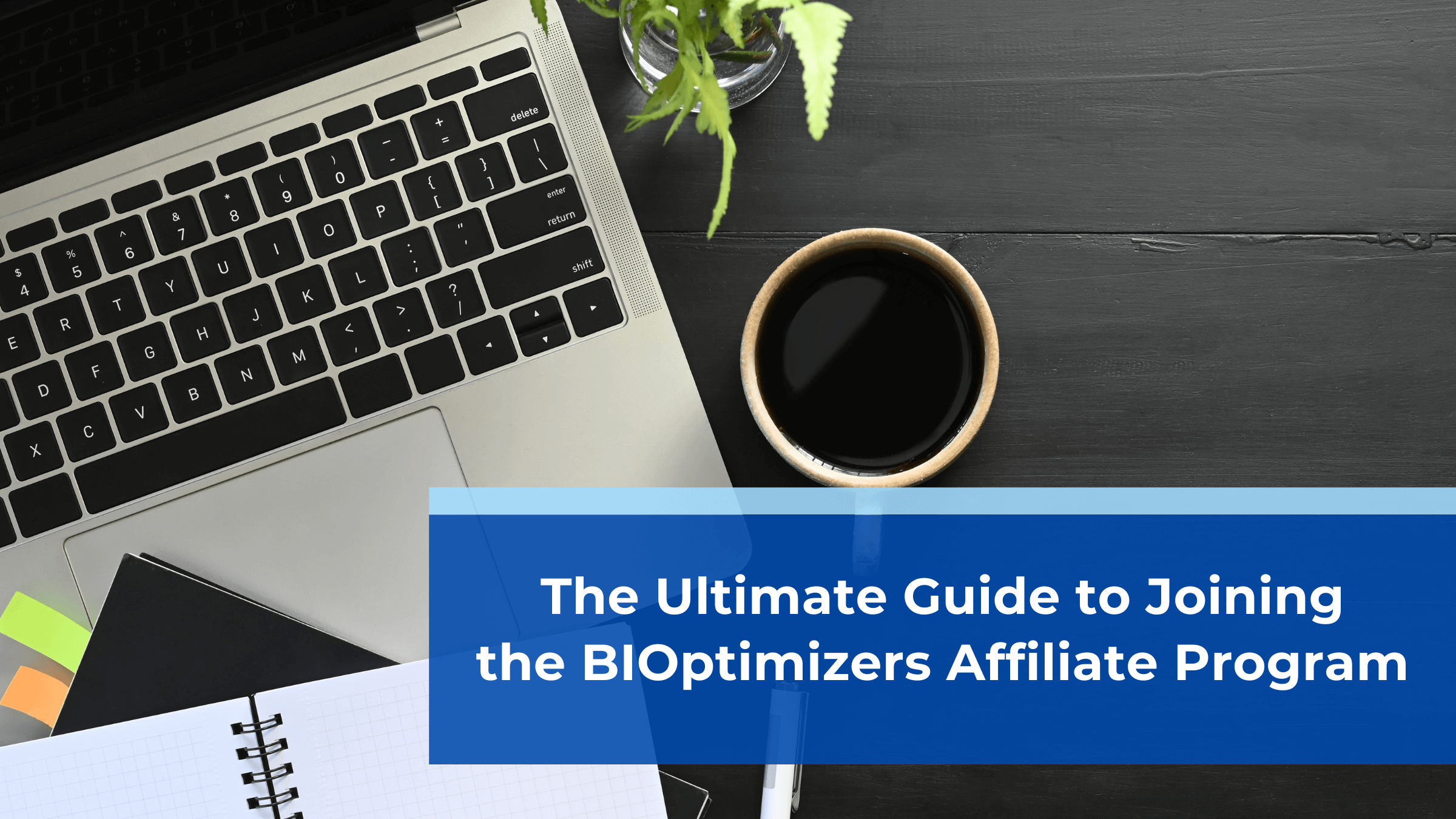 BIOptimizers Affiliate Program Lander